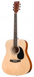 Акустическая гитара HOMAGE LF4100 N