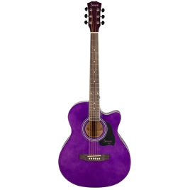 Акустическая гитара SHINOBI HB403A/TPP