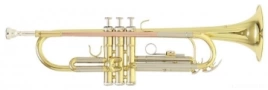 Труба ROY BENSON TR-202 Bb