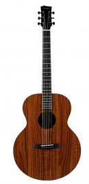 Акустическая гитара Enya EA-X1+