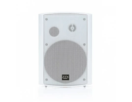 Громкоговоритель ZTX audio KD-500 10-20W настенный