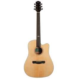 Акустическая гитара Aion X20