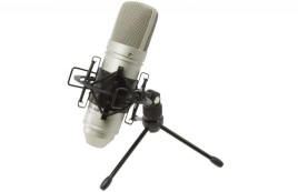 Студийный микрофон TASCAM TM-80