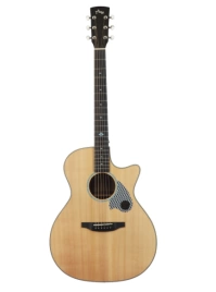 Акустическая гитара TYMA TG-5 в комплекте с аксессуарами