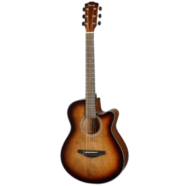 Акустическая гитара SHINOBI B-1/BR коричневый