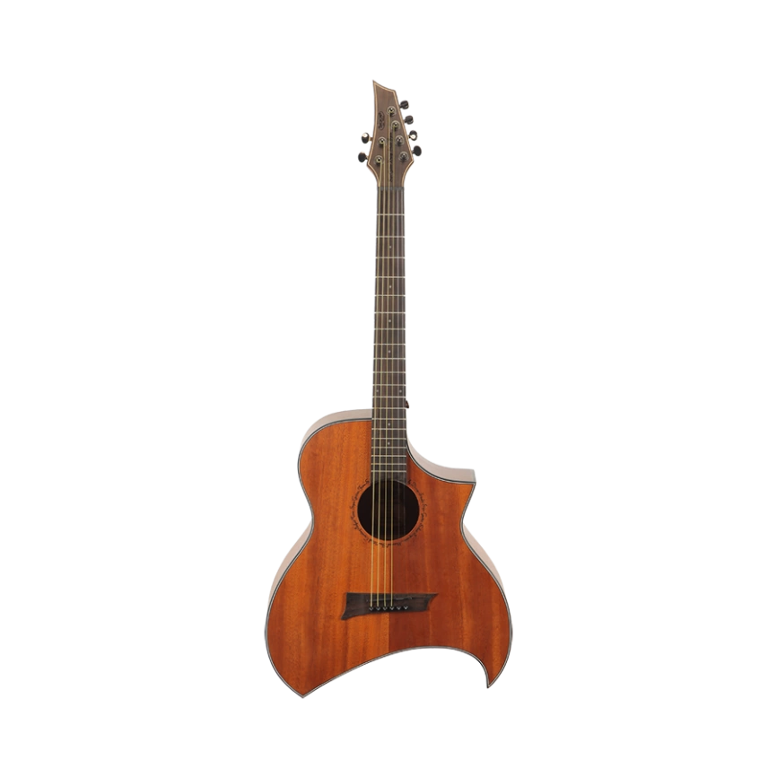 Акустическая гитара SQOE SQ-YX-T фото 1
