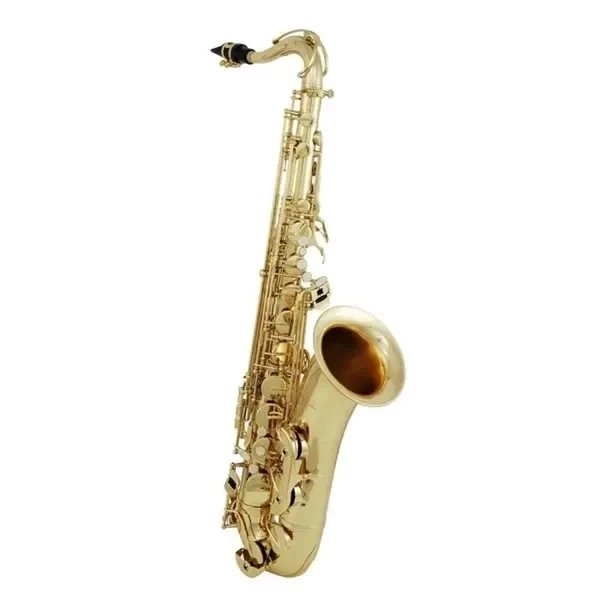 Саксофон ROY BENSON TS-302 Bb тенор фото 1