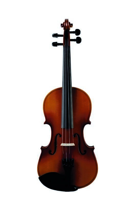 Скрипка TOMAS VAGNER NV280 3/4 фото 2