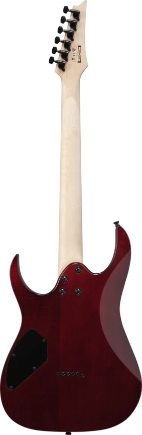 Электрогитара IBANEZ GRGR221PA-AQB фото 2