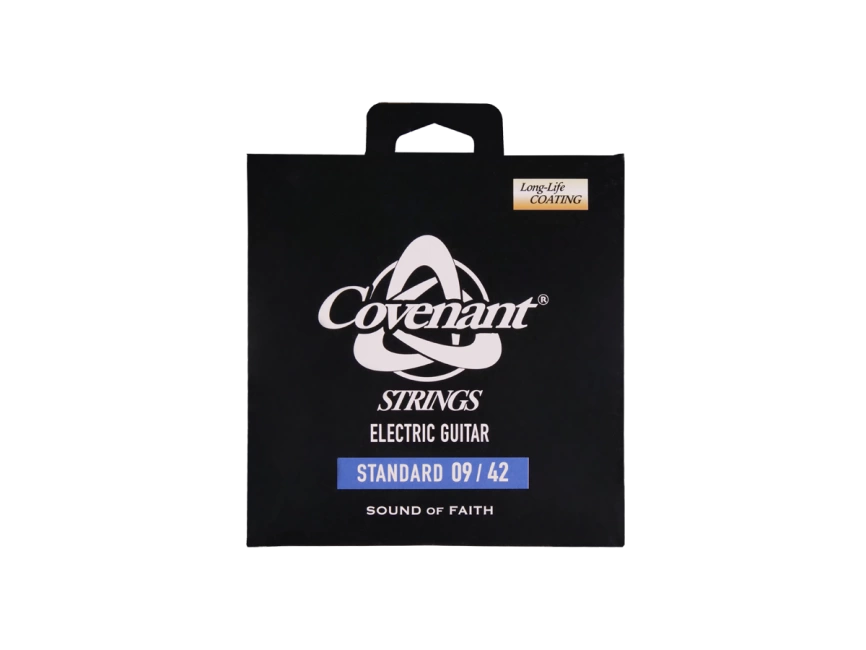 Струны д/эл COVENANT EGS-0942 фото 1
