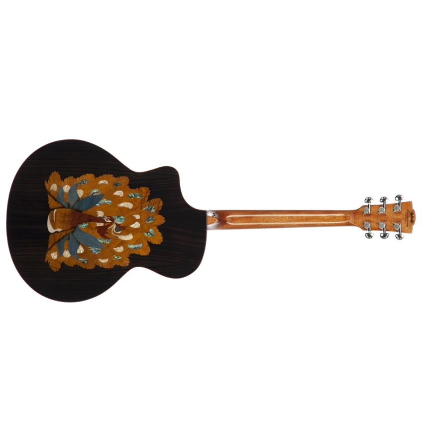 Акустическая гитара MERIDAEXTREME E1FCS с чехлом фото 3