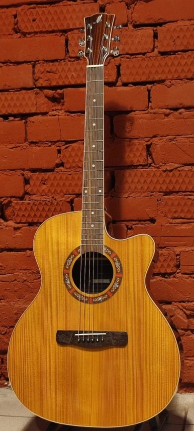 Акустическая гитара MERIDAEXTREME A17GAC с чехлом фото 1