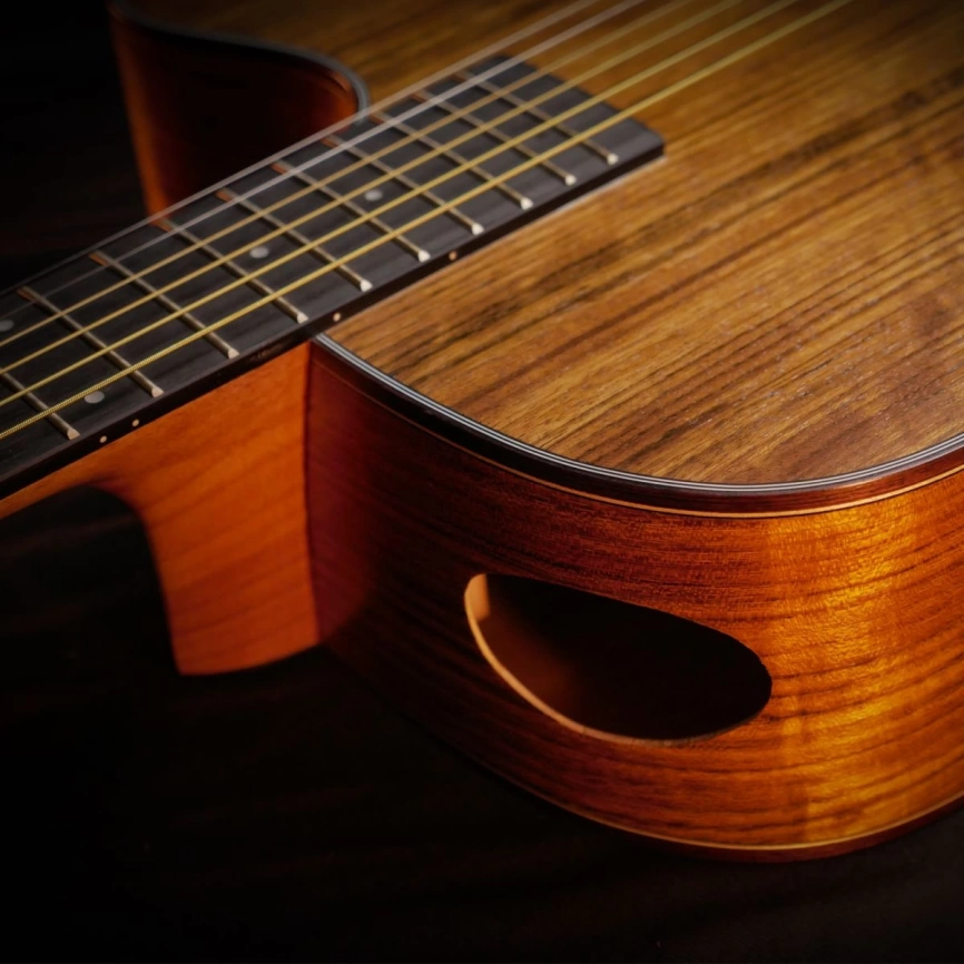 Акустическая гитара SQOE SQ-FS Set фото 6