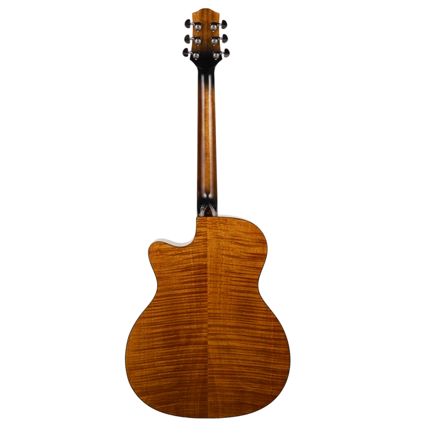 Акустическая гитара Aion F10 фото 3