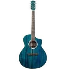 акустическая гитара SHINOBI H-12G BL фото 1