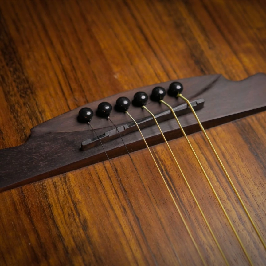 Акустическая гитара SQOE SQ-FS Set фото 5