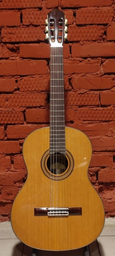 Классическая гитара SQOE CG50S фото 1