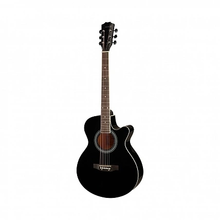 Акустическая гитара SHINOBI HB401A/BK фото 1
