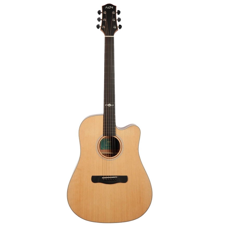 Акустическая гитара Aion X20M фото 1