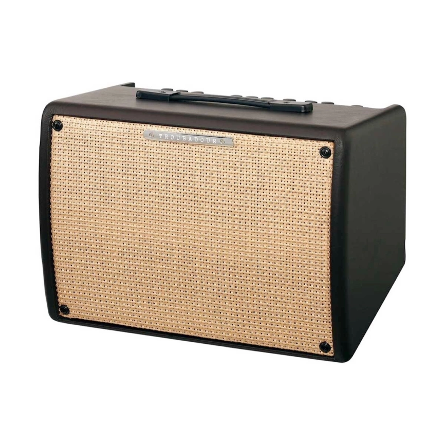 Комбоусилитель IBANEZ T30II TROUBODOUR Acoustic фото 3