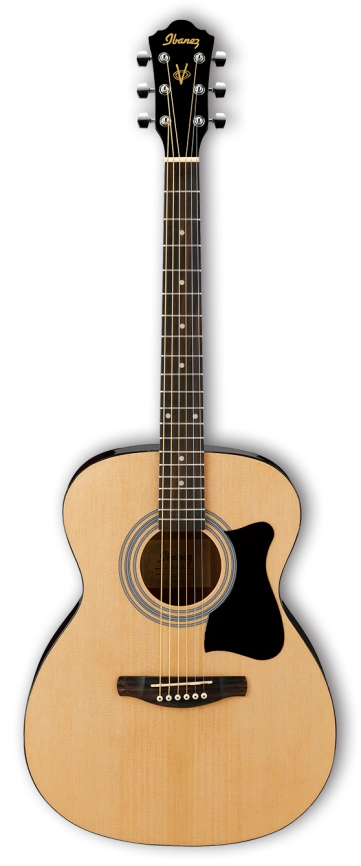 Акустическая гитара IBANEZ  VC50NJP-NT набор фото 2