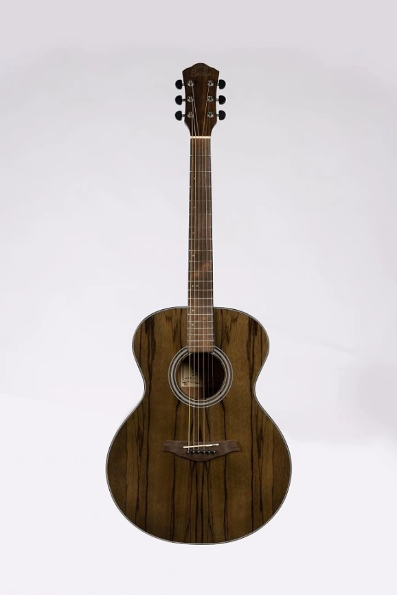 Акустическая гитара SEVILIA  DS-300 TBK шестиструнная фото 1