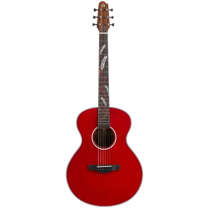 Трансакустическая гитара COVENANT FOCUS XTE  RED с чехлом фото 1