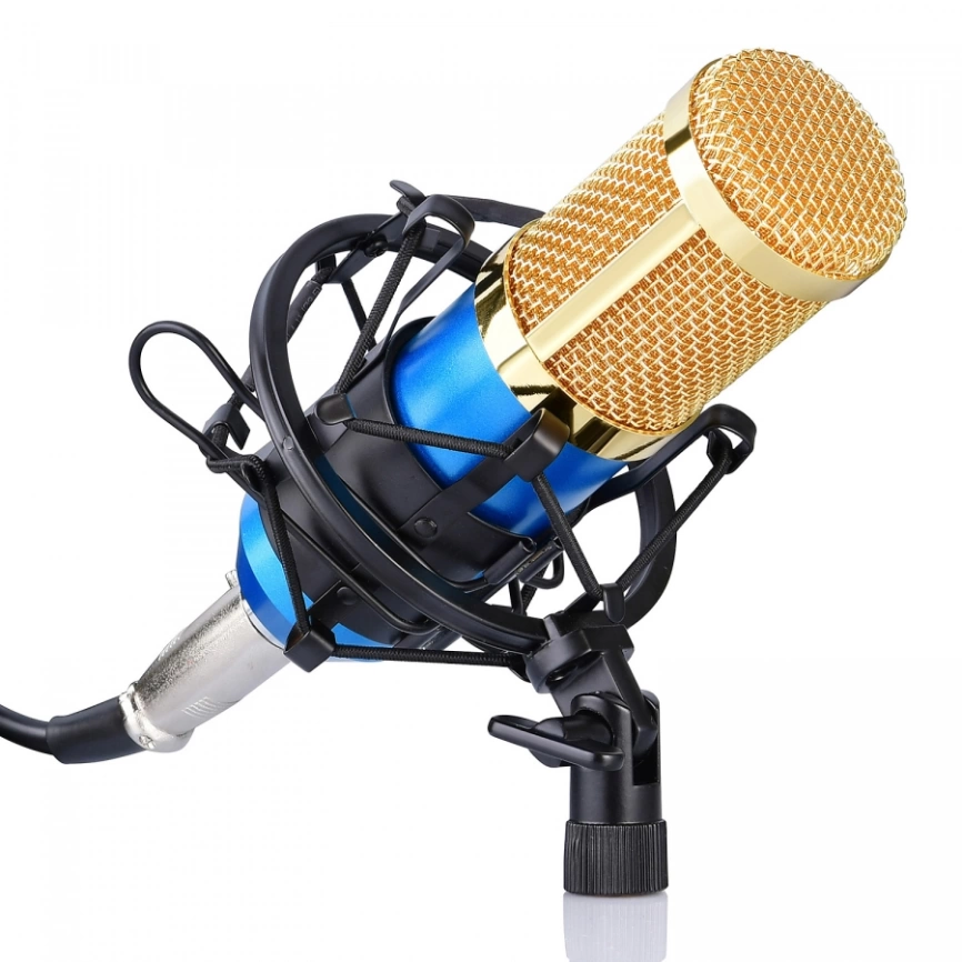 Студийный микрофон FZONE BM-800 BL фото 1