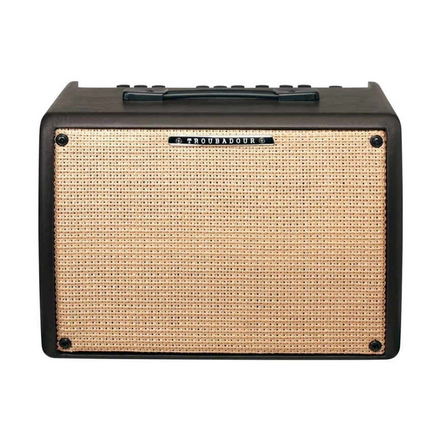 Комбоусилитель IBANEZ T30II TROUBODOUR Acoustic фото 1