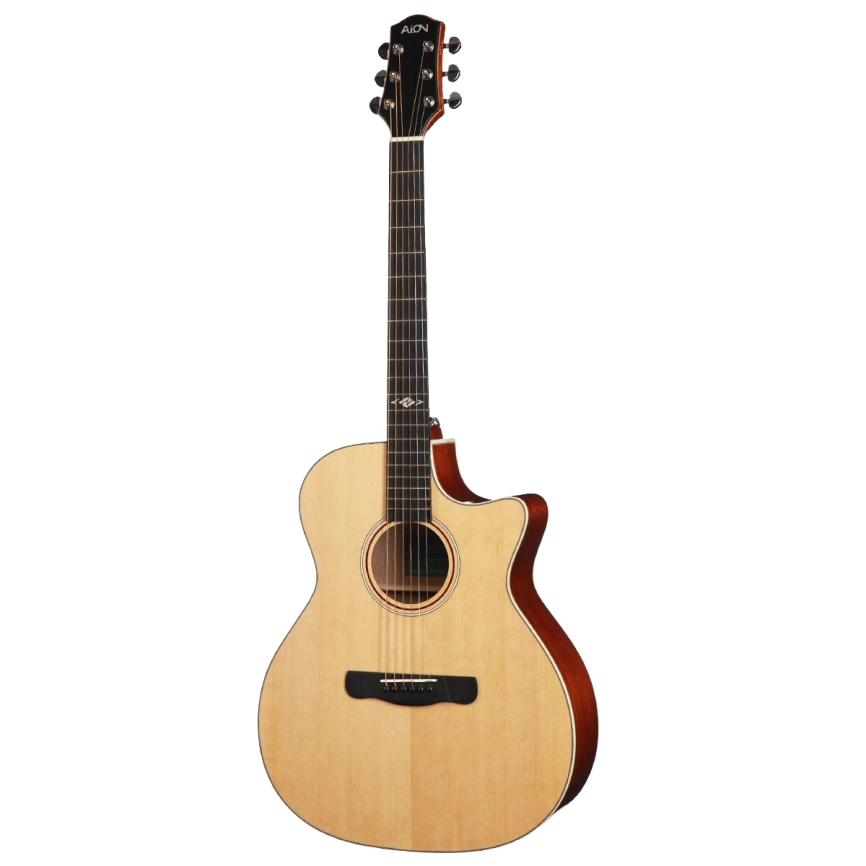 Акустическая гитара Aion X10 фото 2