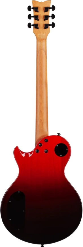 Электрогитара SCHECTER  SOLO ii Standart BB 6 струн, цвет BLOODBURST фото 2