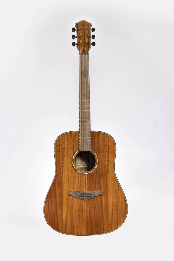 Акустическая гитара SEVILIA DS-250 FCKNT фото 1
