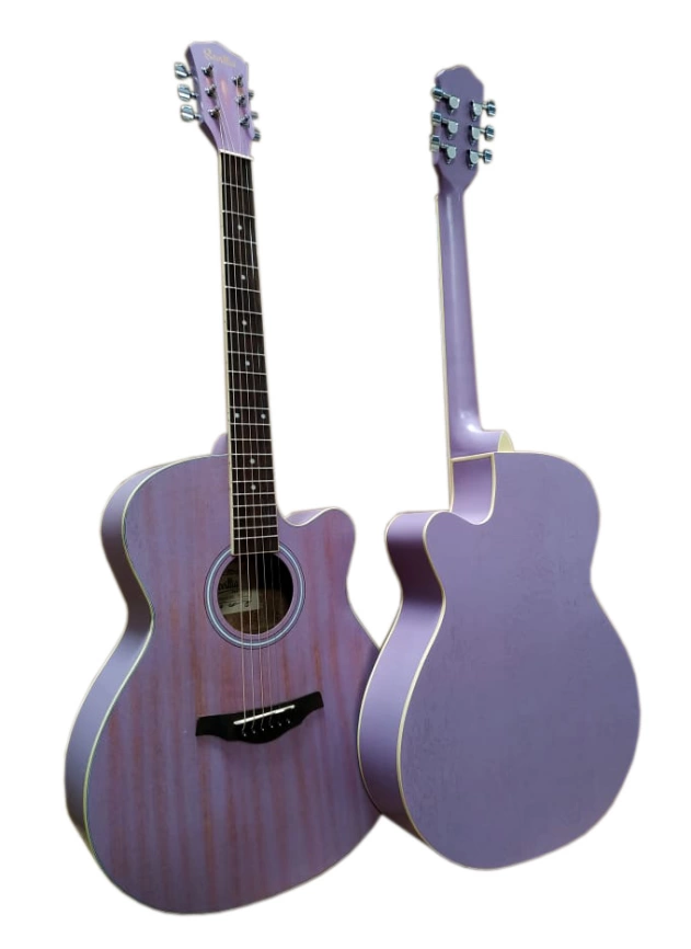 Акустическая гитара SEVILIA IWC-235 MTP розовый фото 1