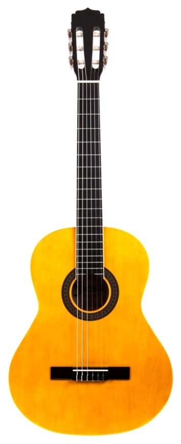 Классическая гитара ARIA FST-200-53-N 1/2 фото 1