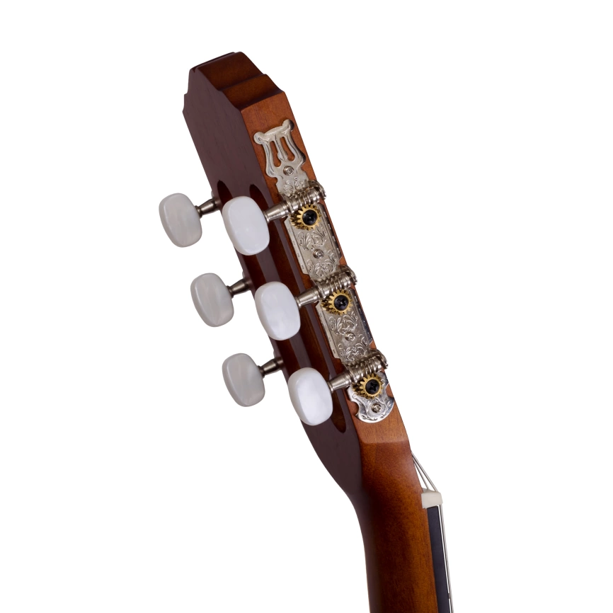 Классическая гитара ROCKDALE CLASSIC C5 натуральный фото 10