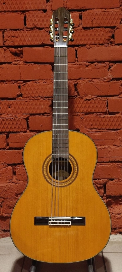 Классическая гитара SQOE CG40S фото 1
