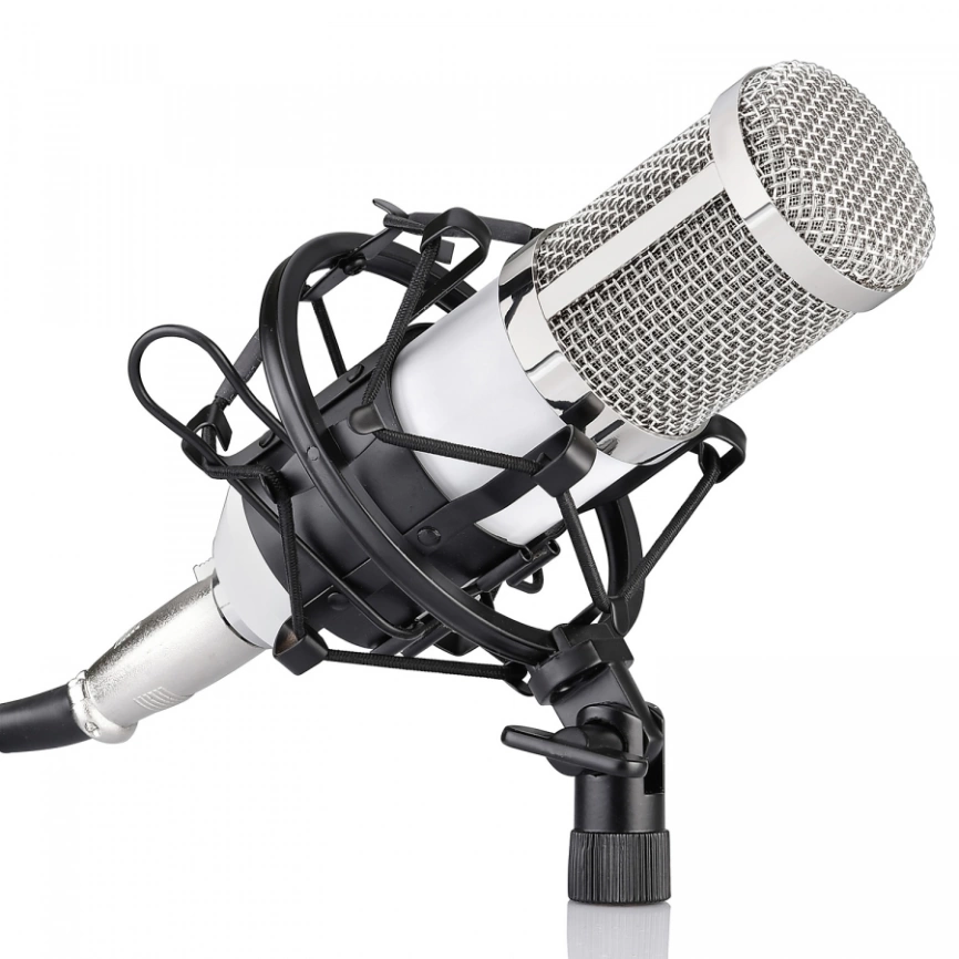 Студийный микрофон FZONE BM-800 WH фото 1